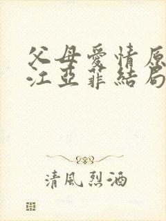 父母爱情原著中江亚菲结局封面