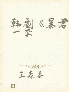 韩剧《暴君》第一季封面