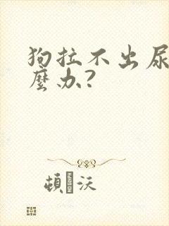 狗拉不出尿该怎么办?