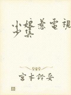 小娘惹电视剧多少集