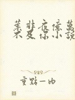 叶非夜亿万星辰不及你小说封面