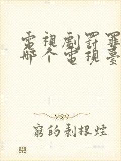 电视剧罚罪2在哪个电视台播放封面