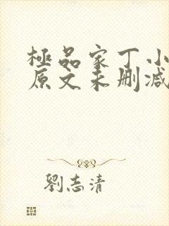 极品家丁小说 原文未删减