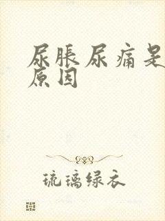 尿胀尿痛是什么原因封面