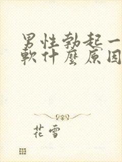 男性勃起一会就软什么原因