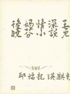 后妈情深王磊杨晓芬小说免费阅读全文