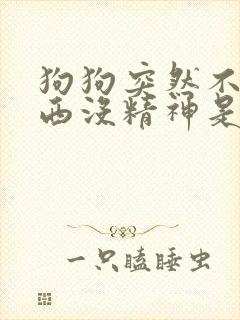 狗狗突然不吃东西没精神是怎么了封面