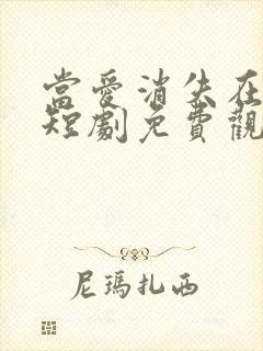 当爱消失在风中短剧免费观看