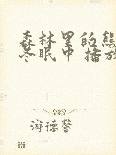 森林里的熊先生冬眠中 播放