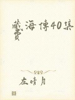 藏海传40集免费封面