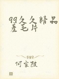 99久久精品国产毛片