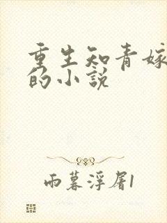 重生知青嫁糙汉的小说