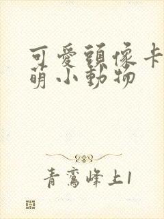 可爱头像卡通呆萌小动物