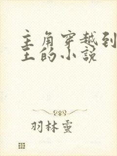 主角穿越到海贼王的小说