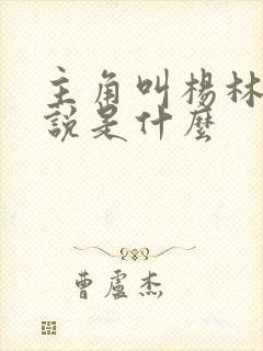 主角叫杨林的小说是什么