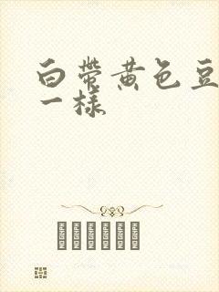 白带黄色豆腐渣一样封面