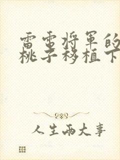 雷电将军的惩罚桃子移植下载