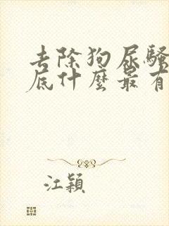 去除狗尿骚味到底什么最有效封面