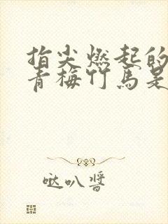 指尖燃起的热情青梅竹马是消防员