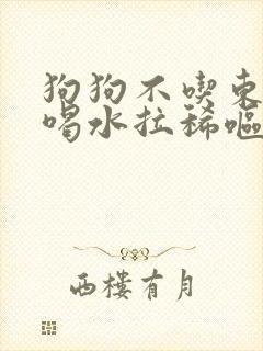 狗狗不吃东西只喝水拉稀呕吐