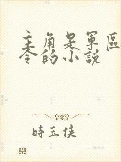 主角是军区总司令的小说