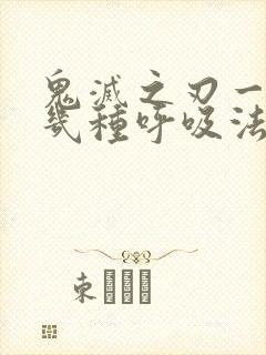 鬼灭之刃一共有几种呼吸法