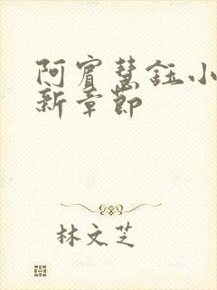 阿宾慧钰小说最新章节