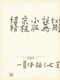 绍宋小说txt精校版无删减封面