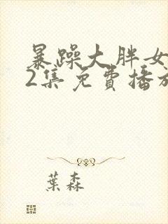 暴躁大胖女人42集免费播放电视剧封面