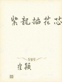 紫龙插花芯方正