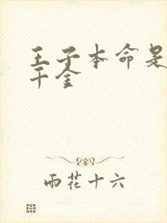 王子本命是恶役千金