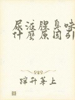 尿液腥臭味很重什么原因引起的