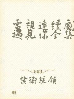 电视连续剧只为遇见你全集免费观看