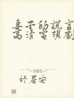 妻子的谎言免费高清电视剧封面