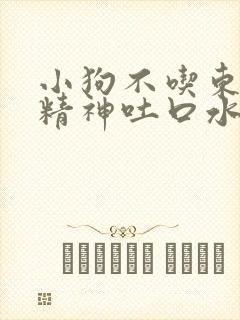 小狗不吃东西没精神吐口水