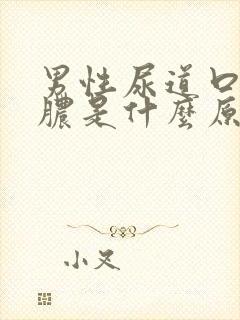 男性尿道口流白脓是什么原因