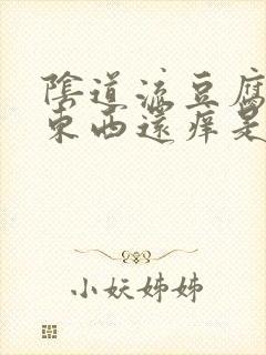 阴道流豆腐渣的东西还痒是什么情况