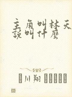 主角叫林天的小说叫什么