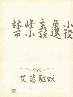 林峰主角小说都市小说退役特种兵王