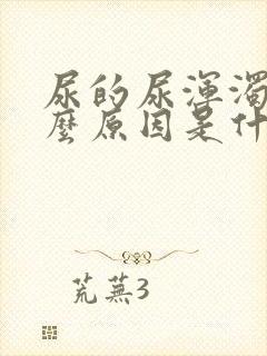 尿的尿浑浊是什么原因是什么