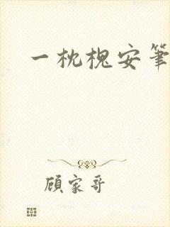 一枕槐安笔趣阁