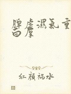 脾虚湿气重舌苔白厚