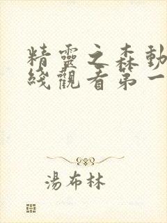 精灵之森动漫在线观看第一集