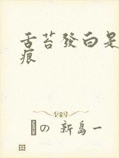 舌苔发白是有齿痕