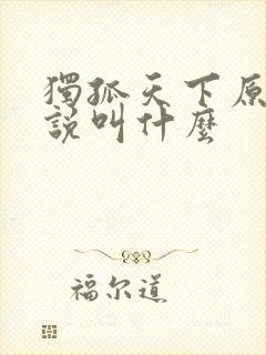 独孤天下原著小说叫什么