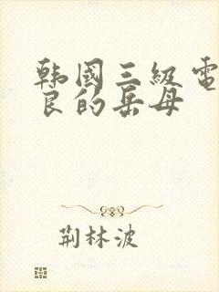 韩国三级电影善良的岳母