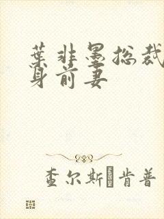 叶非墨总裁的替身前妻