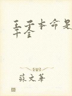 王子本命是恶毒千金