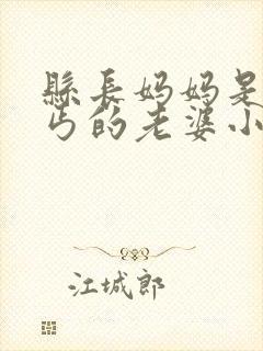 县长妈妈是老乞丐的老婆小说