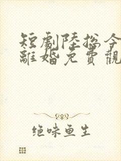 短剧陆总今天要离婚免费观看全集